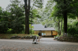 明治神宫(【明治神宫】参拜静思，领略神秘的神社文化)