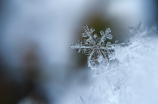 雪花的形状(惊艳的雪花之美)