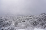 黄山自驾游(黄山自驾游，探索自然之美)